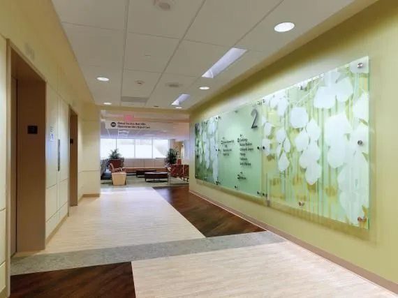 Hospital Accent Walls Ideas